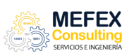 mefexconsulting.net